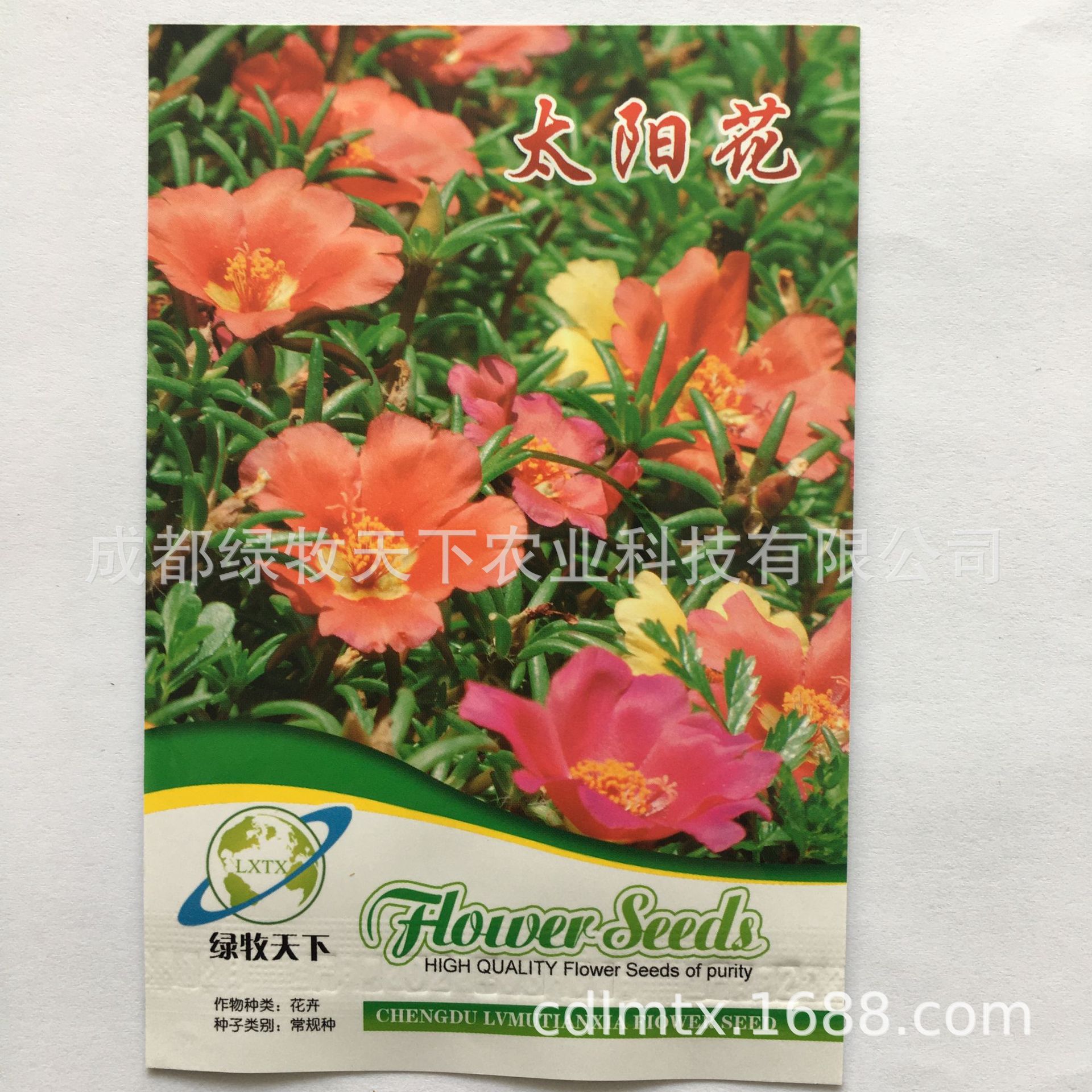 花卉种子 四季种子批发满天星太阳花波斯菊百日草向日葵雏菊薄荷厂