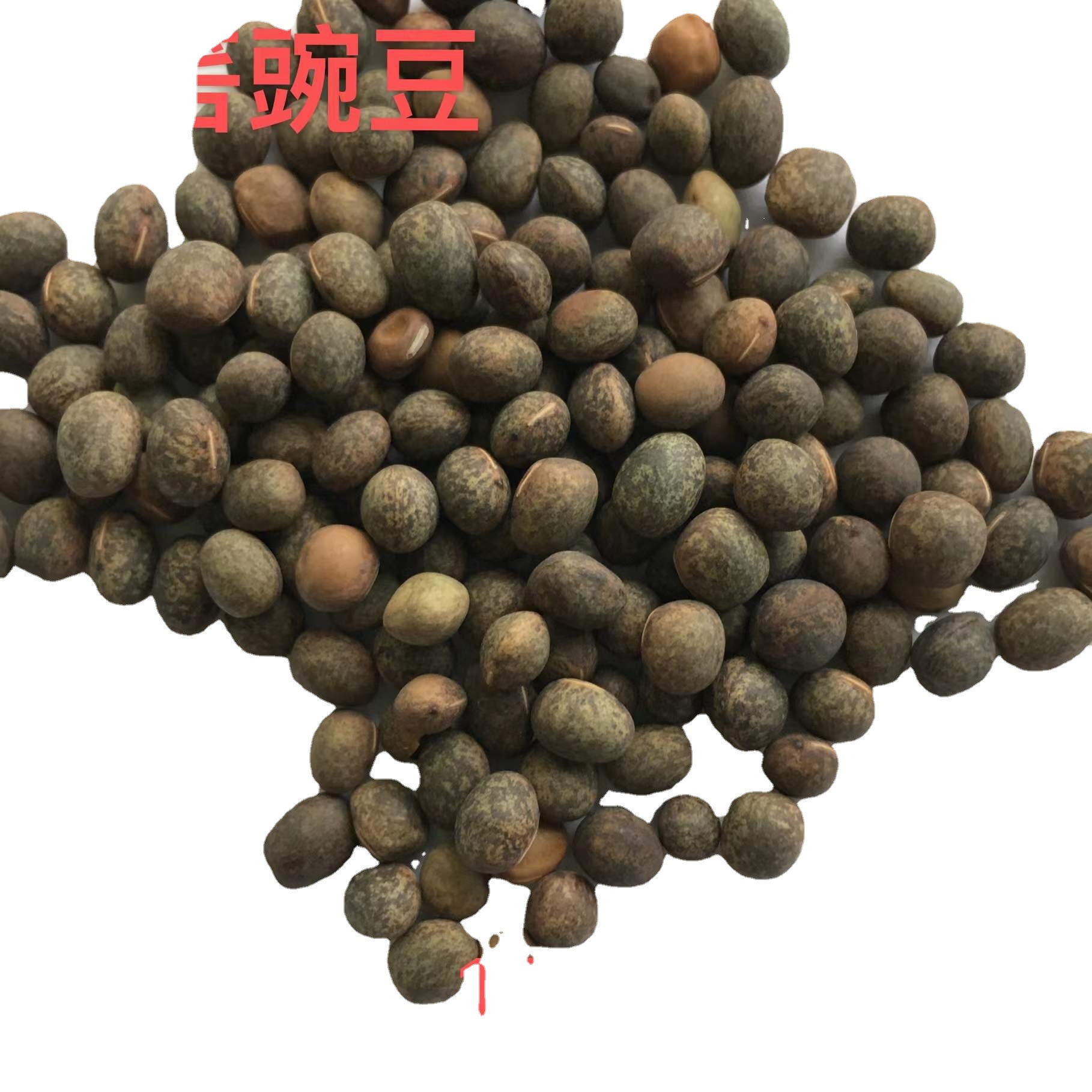 紫云英 四川基地批发牧草绿肥箭舌豌豆 光叶紫花苕箭筈舌豌豆种籽厂商