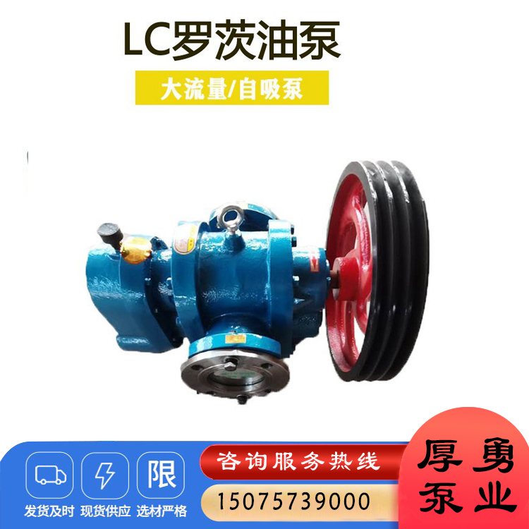 高粘度罗茨保温泵 冷凝物料输送泵 不锈钢保温泵 沥青转子泵 食品级转子泵