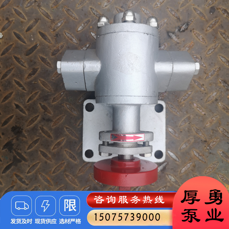 KCB型齿轮油泵 高粘度耐腐蚀输油泵 不锈钢齿轮泵 KC B小流量输油泵