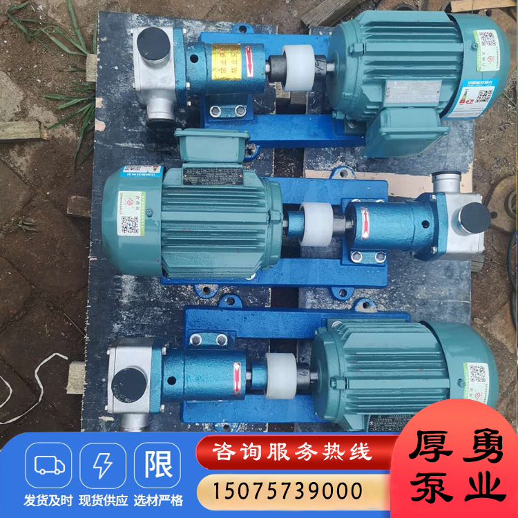 厂家供应NYP高粘度转子泵糖蜜 辣椒酱输送泵
