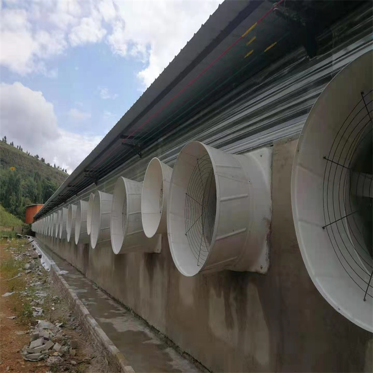 玻璃钢风机 负压风机厂家直供