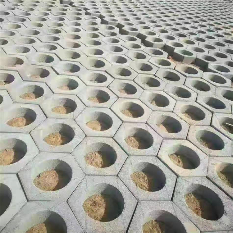 护坡砖 六角砖水工砖 量大从优