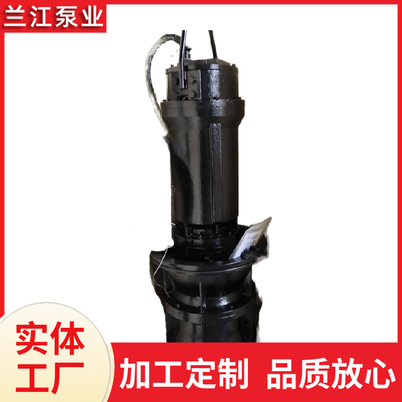 立式潜水轴流泵 大流量 农业灌溉 兰江泵业