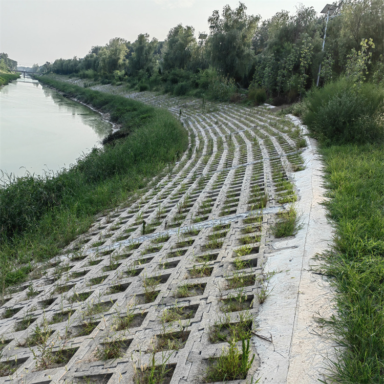 护坡砖 连锁砖 厂家直销