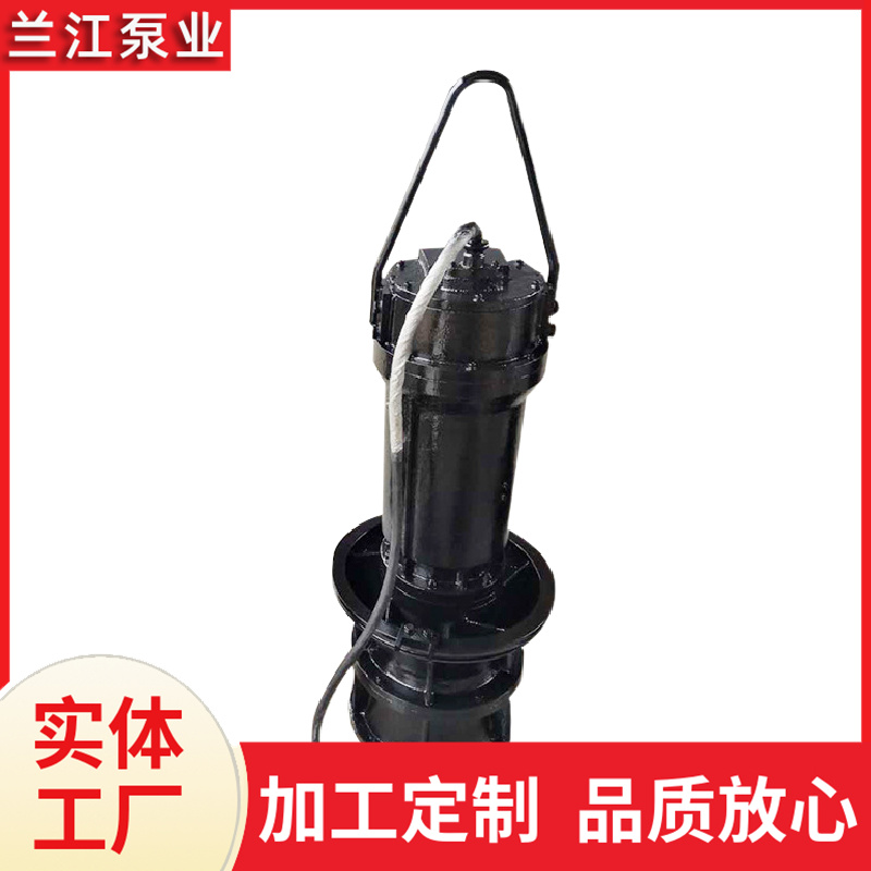 潜水轴流泵 大流量潜水泵 广泛应用于农田灌溉 兰江泵业