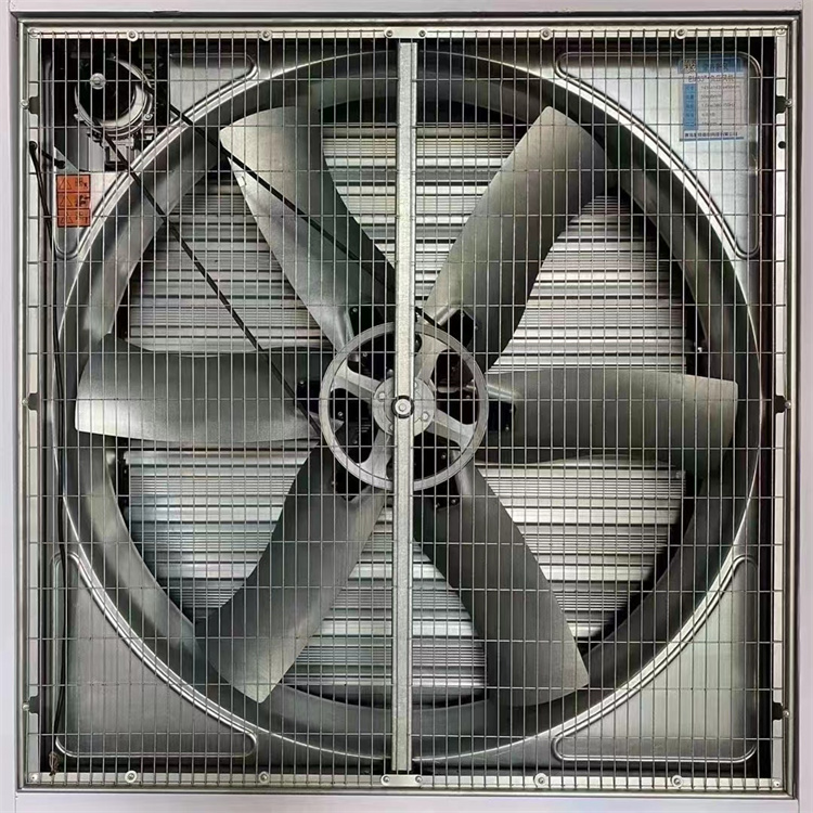 蒙特风机 负压风机厂家价格