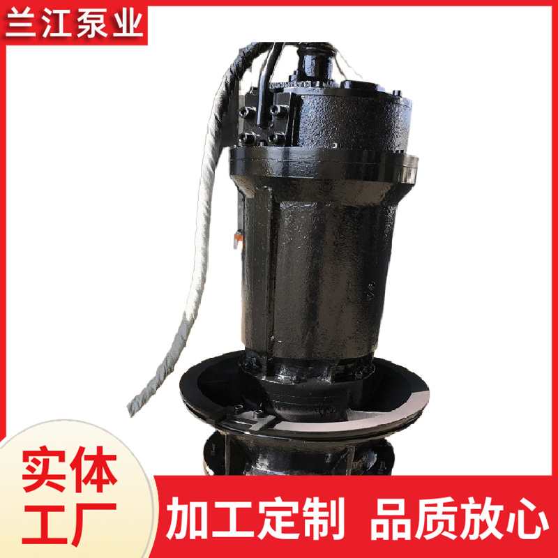 大流量 潜水轴流泵 不锈钢材质 潜水泵 兰江泵业