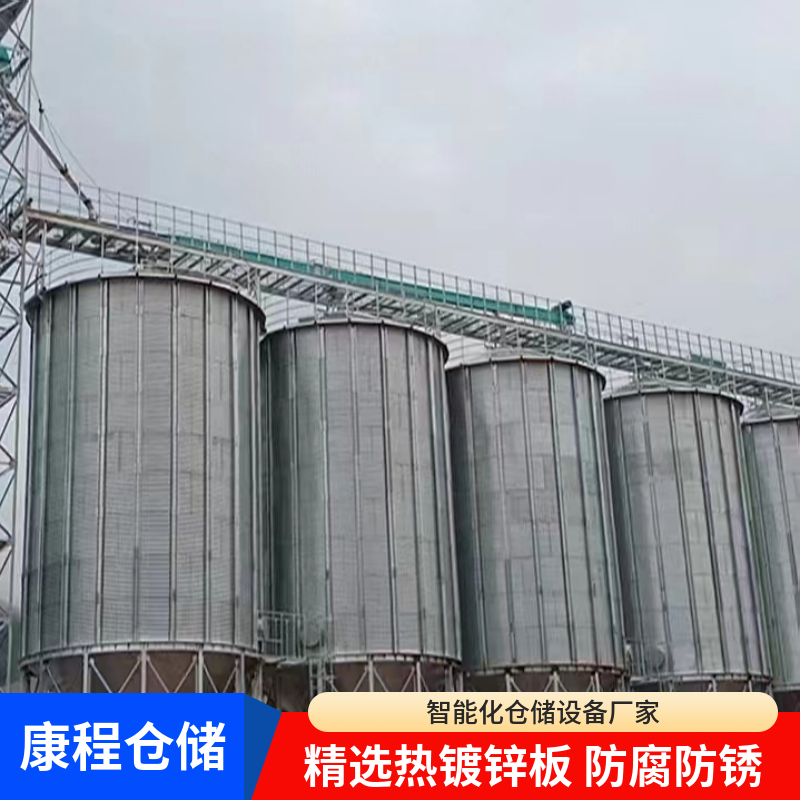 2-900吨小麦 康程 储存玉米水稻稻谷高粱