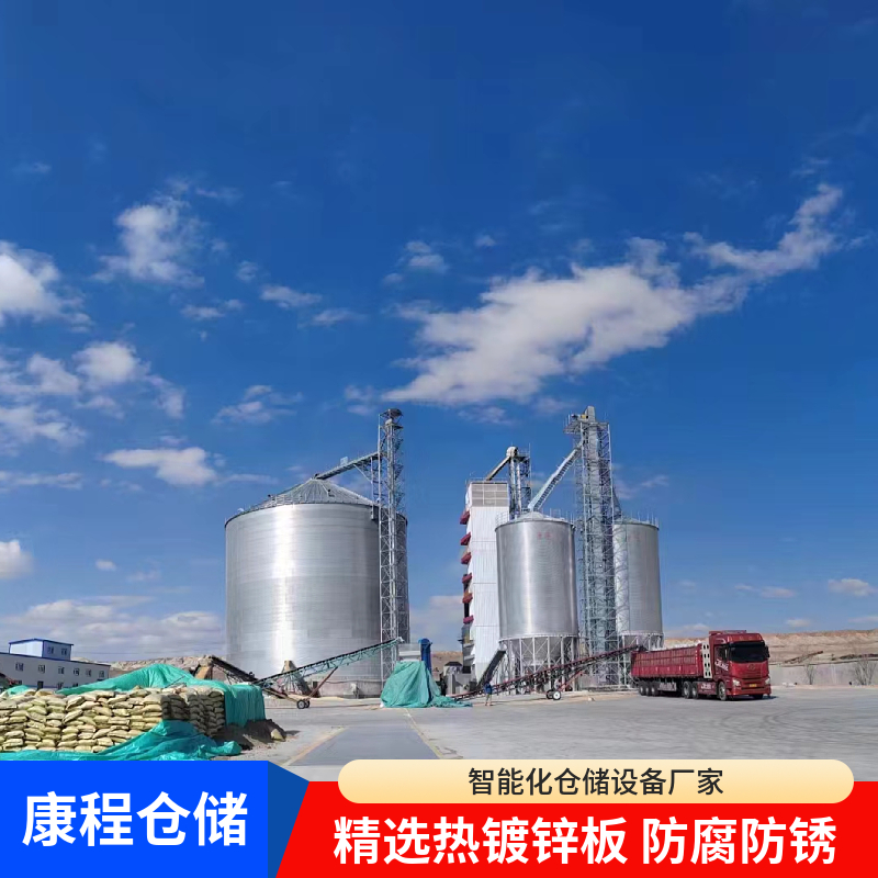 一站式筒仓厂家 厂家定制 钢板仓立筒仓 防潮防虫储粮仓