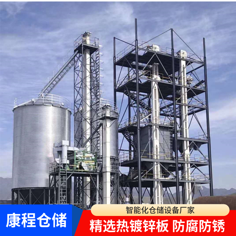 500-1000吨粮仓 占地面积小易管理 康程仓储