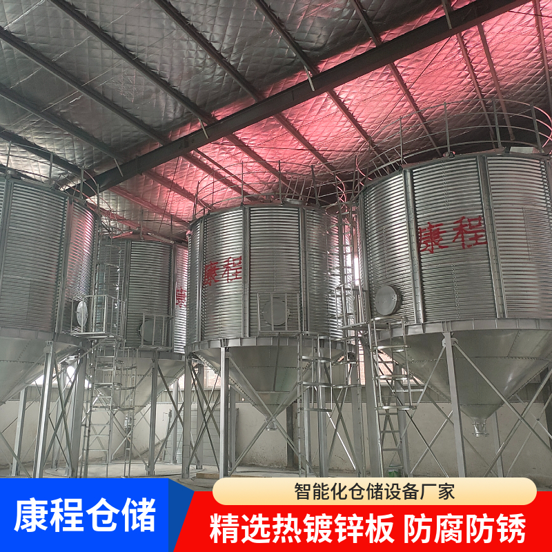 12-100吨粮仓 占地面积小易管理 康程仓储