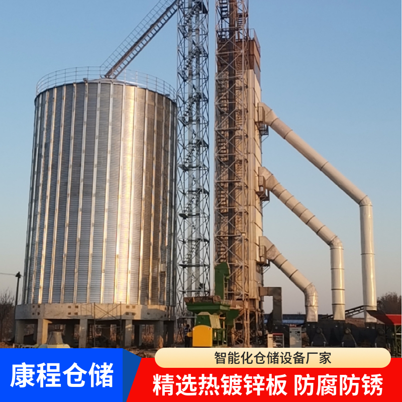 钢板筒仓 大豆菜籽钢板仓防腐抗霉变 康程造