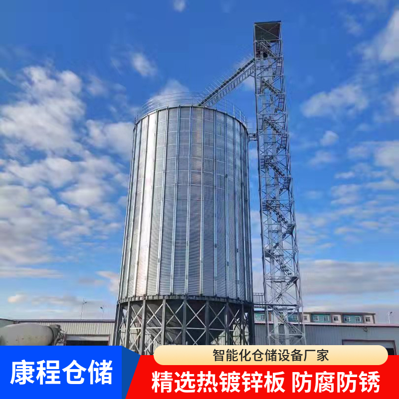 600吨黄豆 粮仓设计 康程 一站式服务满足需求