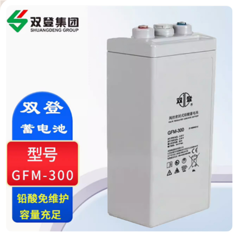 新疆双登2V 12V铅酸蓄电池 盛亚翔UPS电源不间断电源稳压服务器