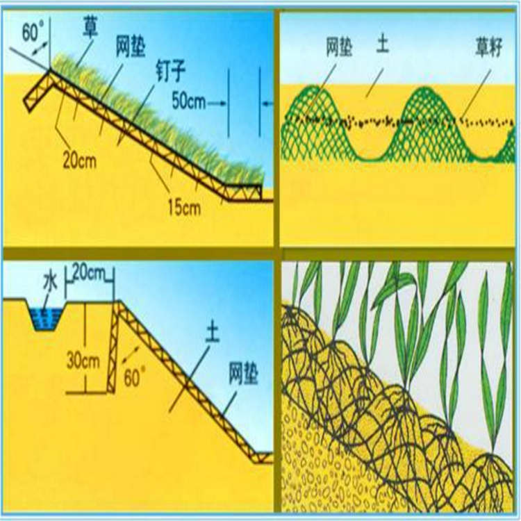 三维网垫 生产厂家