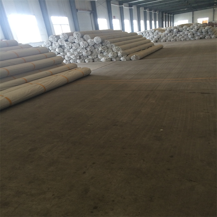 EGA土工格栅 精选厂家