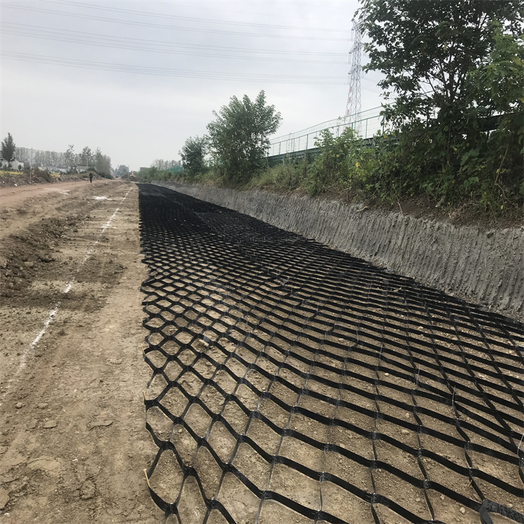 土工格室 专业厂家