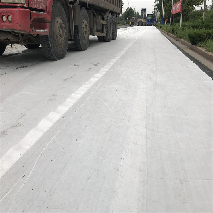 无纺土工布 精选厂家