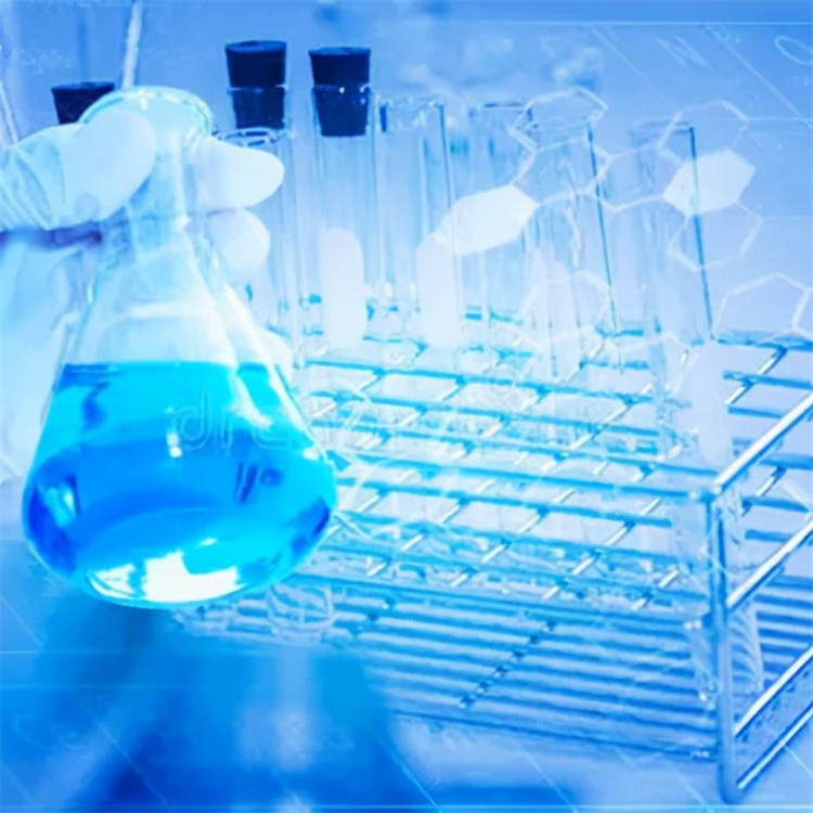 瑞狮 全氟/十七氟癸基三乙氧基硅烷 含量97.5% 疏水 疏油 源头厂家