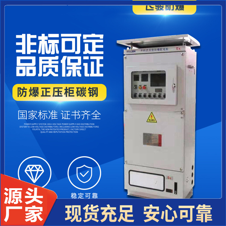 双开门防爆正压柜厂家定制 正压防爆配电柜 正压通风柜