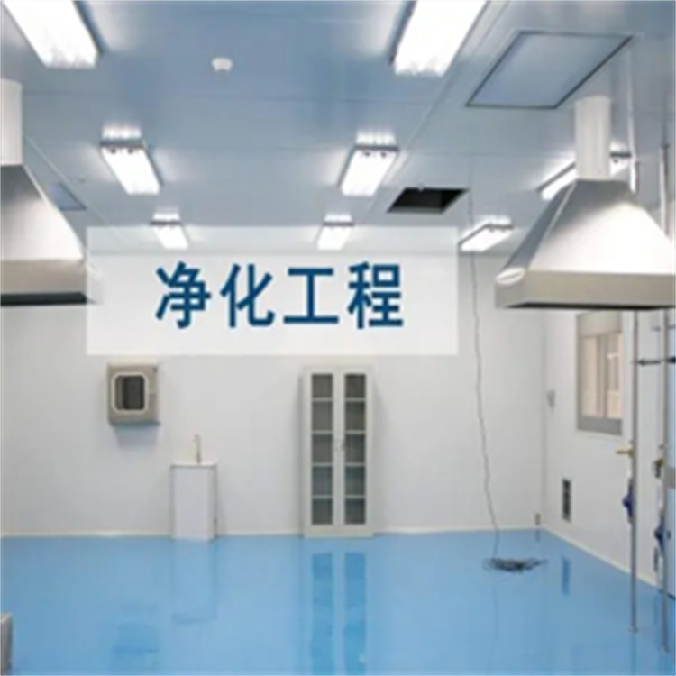 食品饮料行业净化工程设计施工食品添加剂车间净化工程施工口碑良好