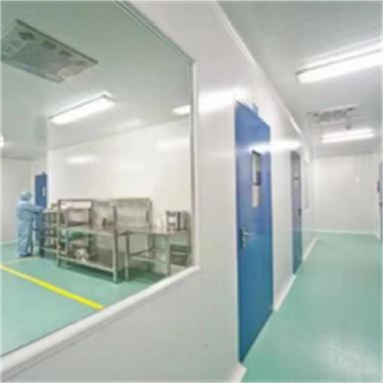 固体制剂车间净化工程设计施工片剂、颗粒剂洁净车间净化工程装修工程