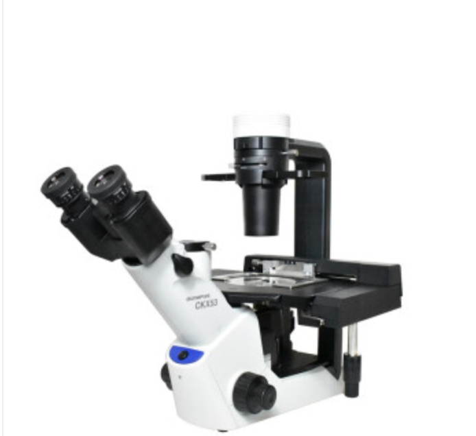 来欧奥林巴斯显微镜CKX53/CKX43研究级活细胞观察培养皿观察专业显微镜倒置生物显微镜