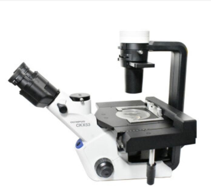 来欧奥林巴斯显微镜CKX53/CKX43研究级活细胞观察培养皿观察专业显微镜倒置生物显微镜