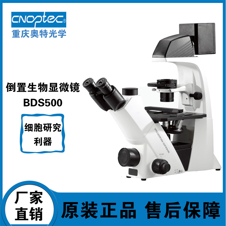 倒置显微镜 BDS500 细胞培养、无色透明细胞观察