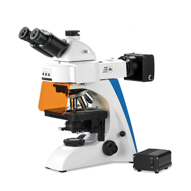 正置荧光显微镜 BK-FL 生物医学研究、生命科学、药物研发、生物检测、水环境检测