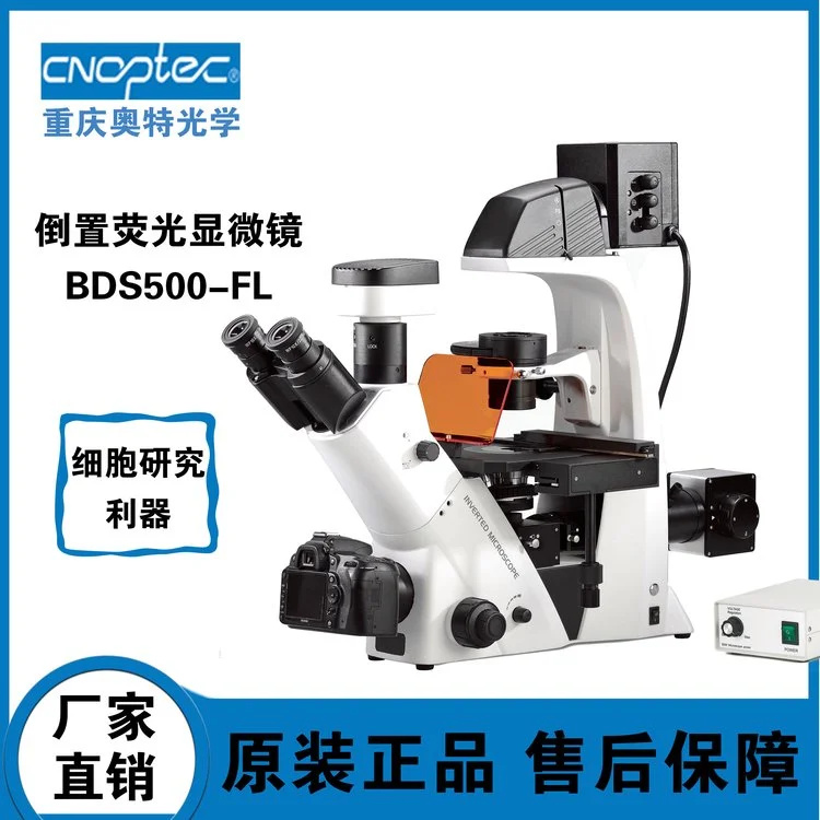 新疆倒置荧光显微镜 BDS500-FL 应用于生物学、细胞学、肿瘤学、遗传学、免疫学等领域