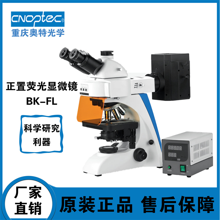正置荧光显微镜 BK-FL 生物样品观察与分析、药物筛选与评价、蛋白质相互作用研究、基因表达与检测