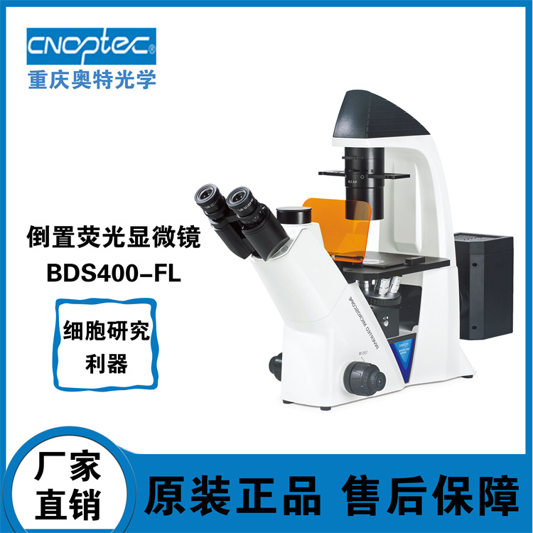 甘肃荧光显微镜 BDS400-FL 细胞研究、荧光染色、激发波段可选