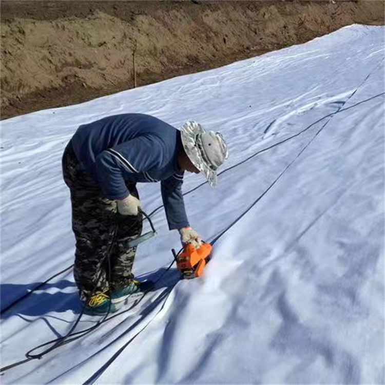 复合土工膜 两布一膜 道路养护施工用