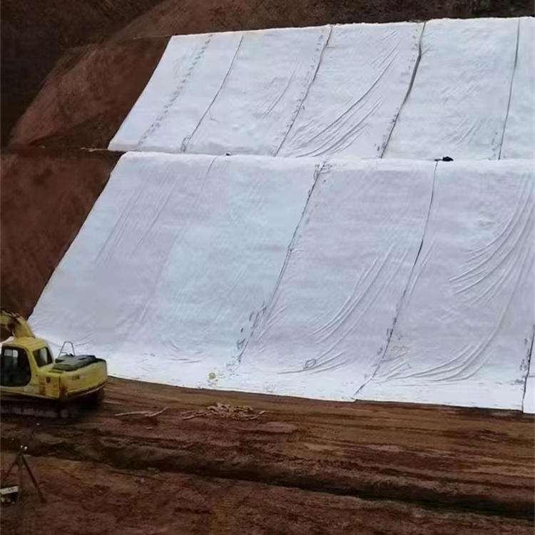 复合土工膜 鱼池鱼塘一布一膜 两布一膜防渗膜