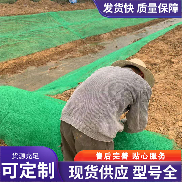 三维植被网厂家价格