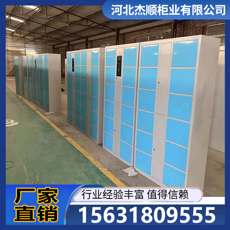 存包柜 专用物品保管柜电子存包柜 款式多样