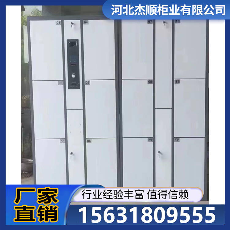 存包柜 电子存储电子存包柜 工艺先进