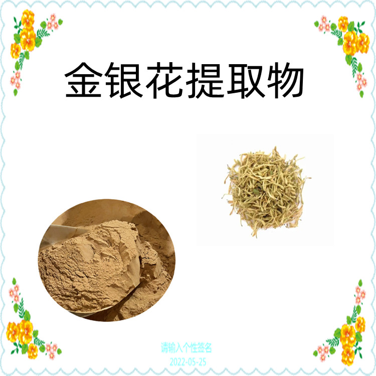 金银花提取物 浓缩粉 金银花绿原酸25% 金银花提取液 多种规格 SC生产厂家 沃特莱斯生物