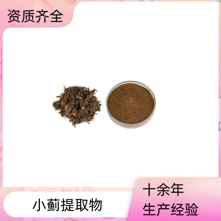 小蓟提取物 浓缩粉 提取液 浸膏 多种规格 1kg起订 包邮