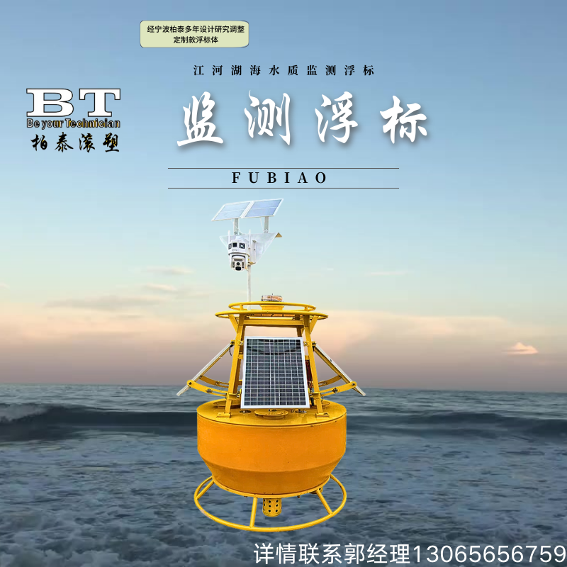 水质监测COD氨氮 浮标式水环境在线监测系统