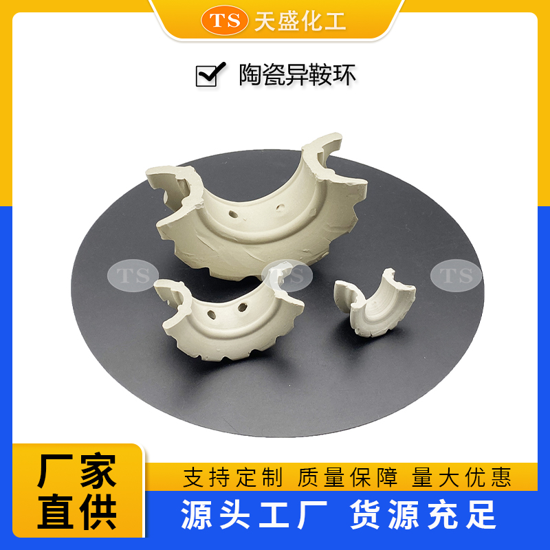 陶瓷异鞍环 耐高温干吸塔散堆填料25mm38mm50mm76mm 天盛化工