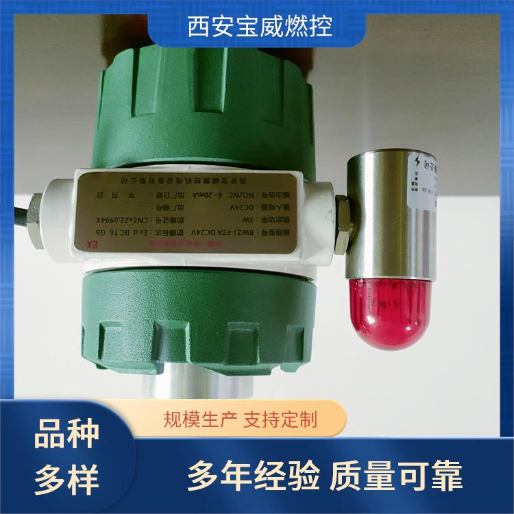 熄火自动检测装置 一体化防爆火焰监测器 EXDIICT6 电气接口M20*1.5