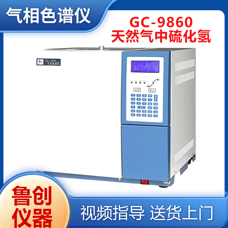 鲁创仪器 天然气硫化氢检测仪 白酒甲醇气相色谱仪