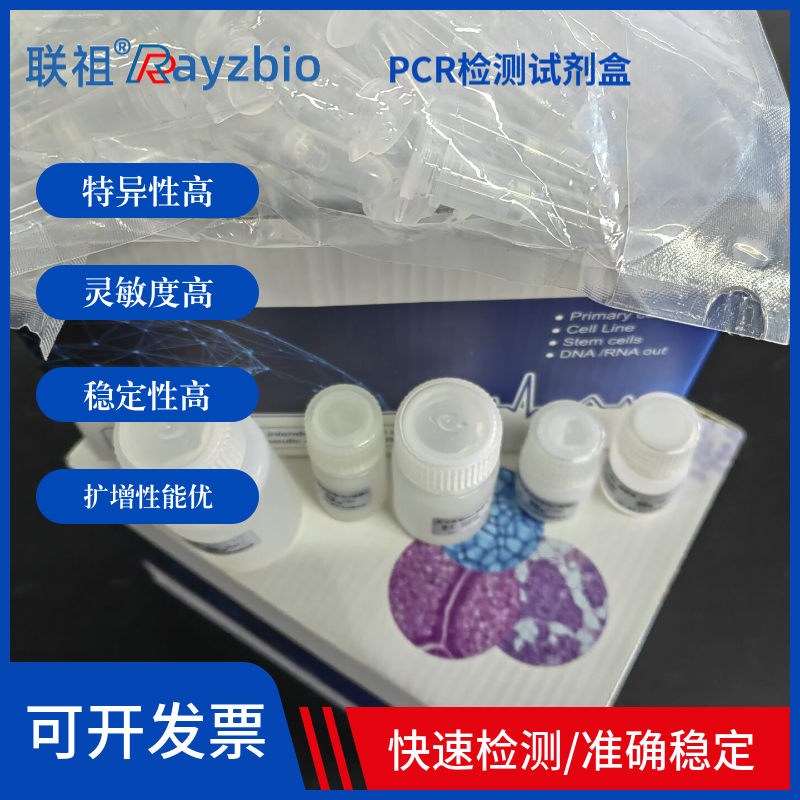 结核杆菌(TB)核酸检测试剂盒(荧光-PCR法)
