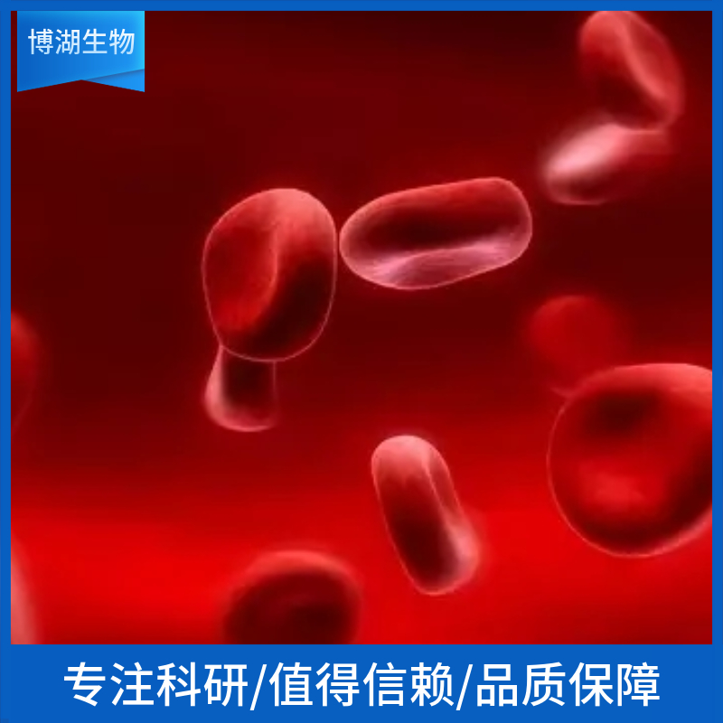支原体PCR检测试剂盒，50 次