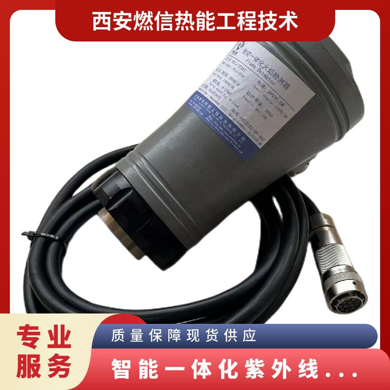 焦炉煤气燃信热能一体化火焰监测器RXZJ-102T
