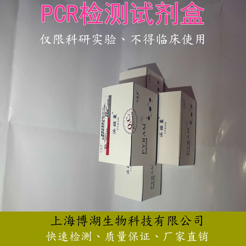 猪瘟病毒RT-PCR试剂盒PCR检测试剂盒