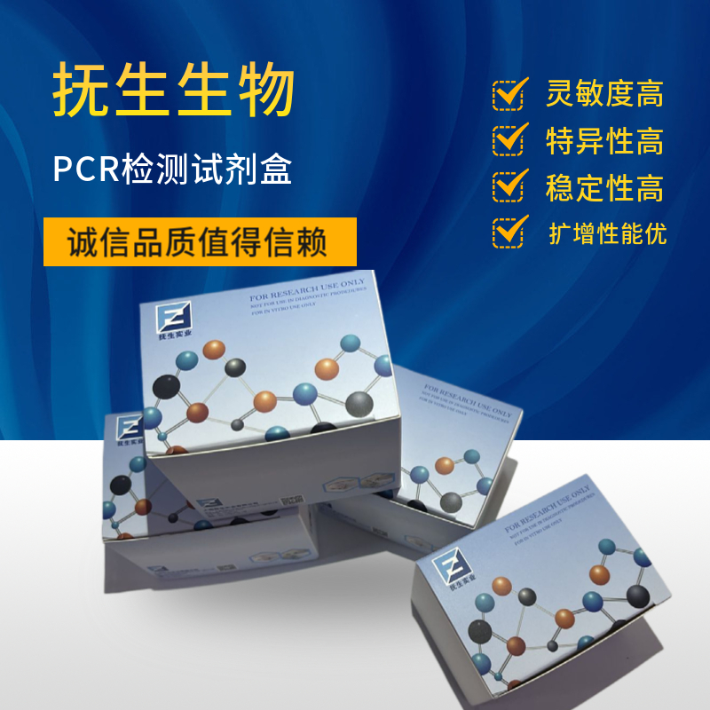 通用型PCR试剂盒厂家 	 通用型PCR试剂盒